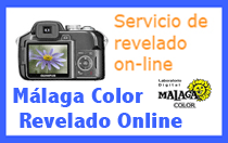 Revelado Online Malaga Color