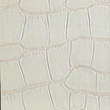 Charol Tortuga Blanco