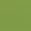 Rugoso Verde Pistacho