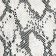 Serpiente Blanca