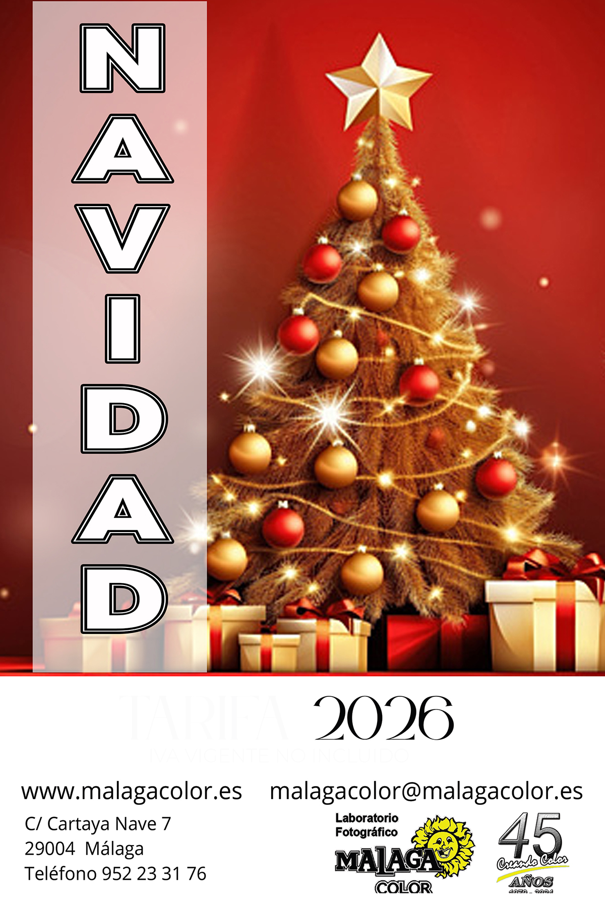 1. Descargar pdf