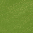 Scribe Verde