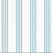 Lineas 4V Celeste B