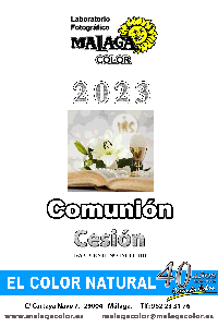 1. Descargar pdf